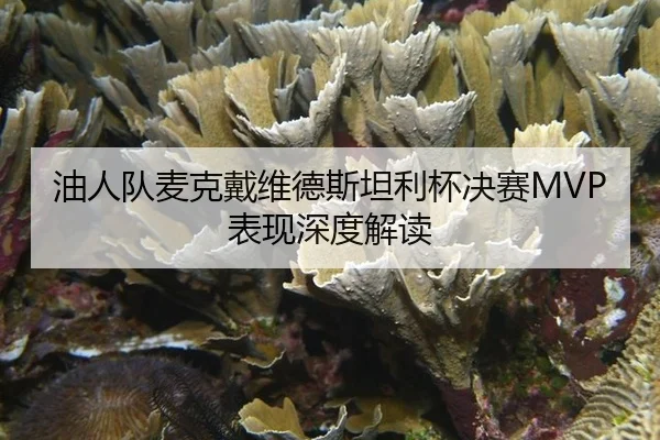 油人队麦克戴维德斯坦利杯决赛MVP表现深度解读